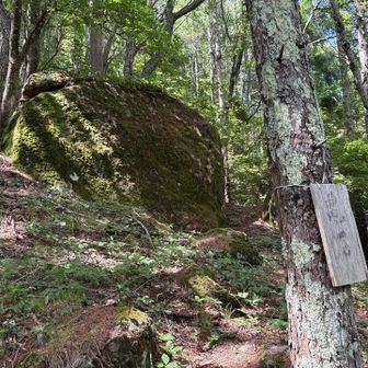🐢亀岩❗️