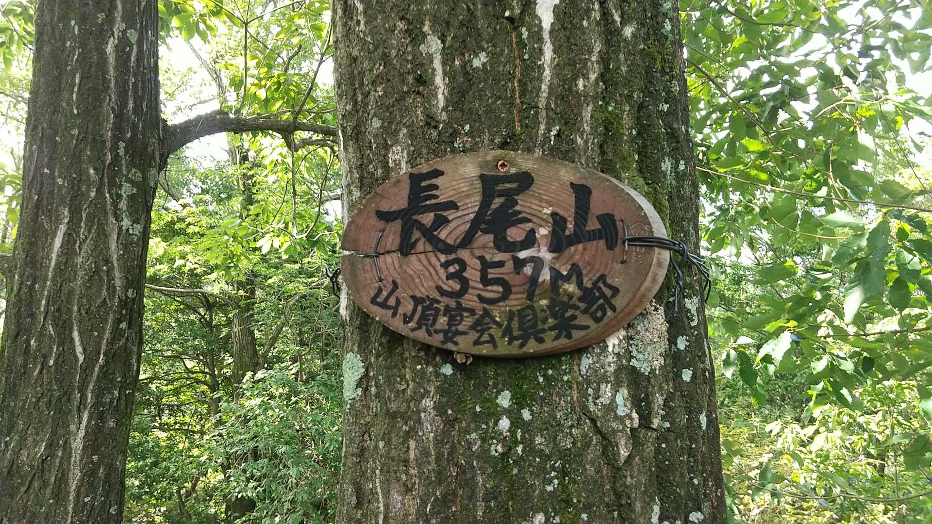 長尾山 周回コースの写真