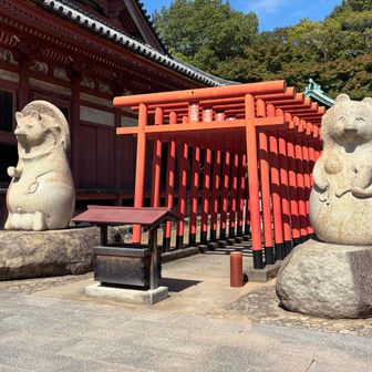 また来たで