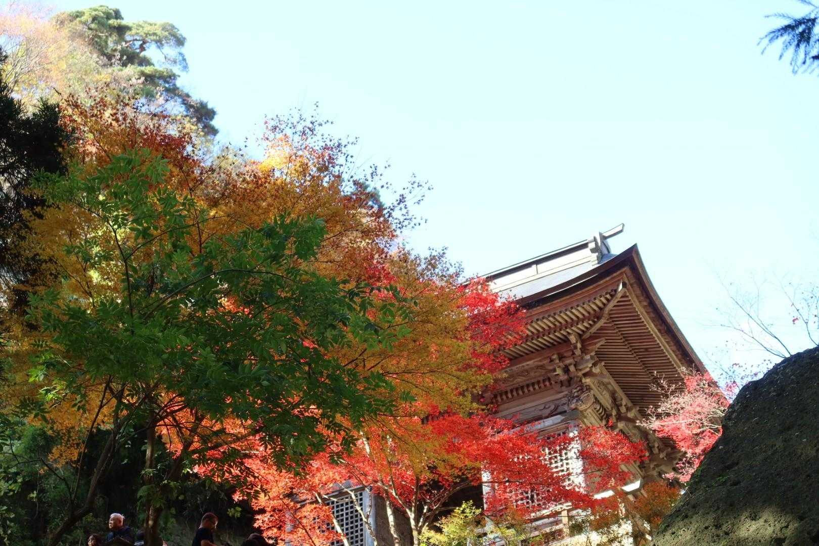 仁王門の紅葉が凄く綺麗でした。
