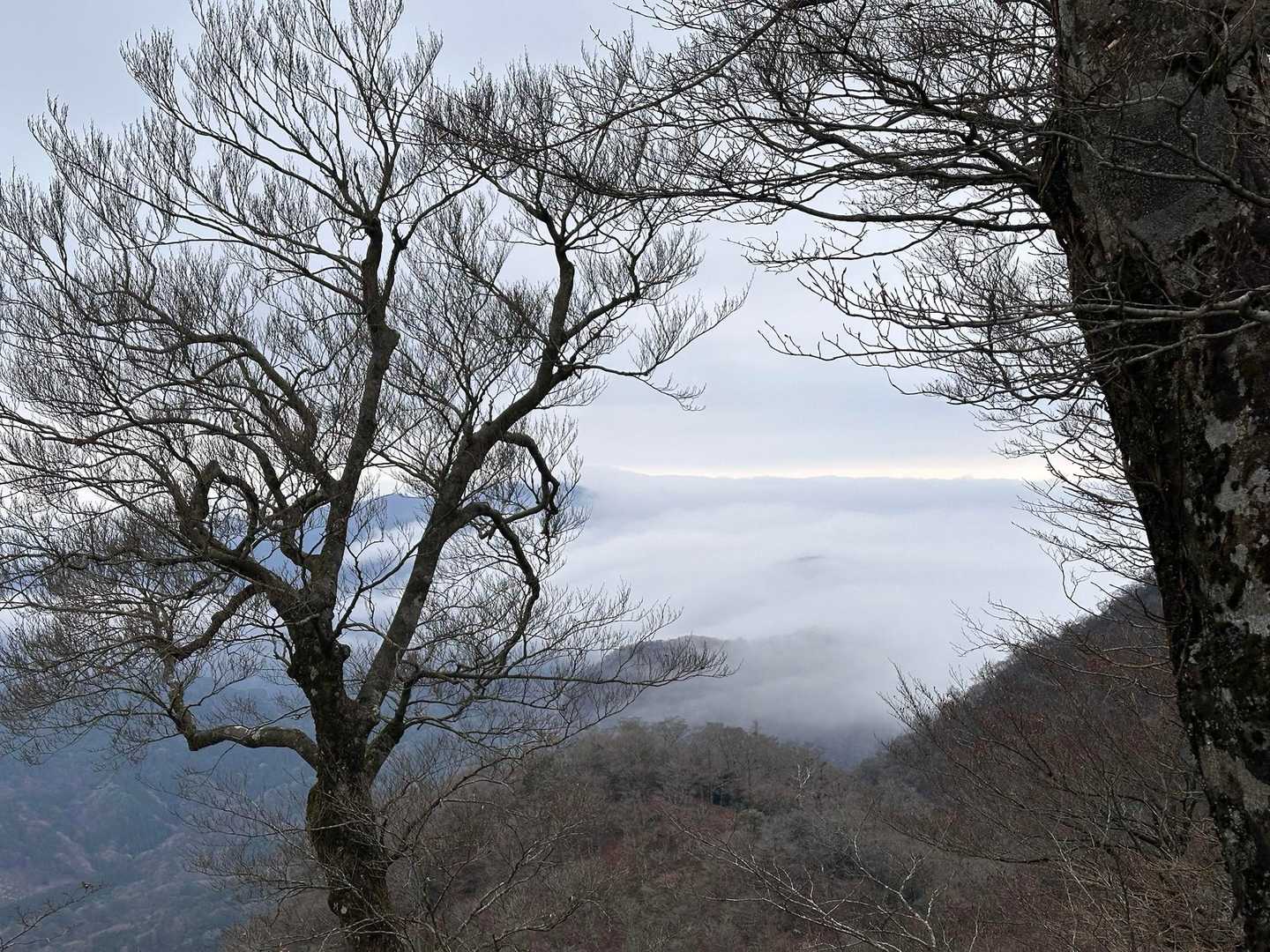 雲海バーーン☁️