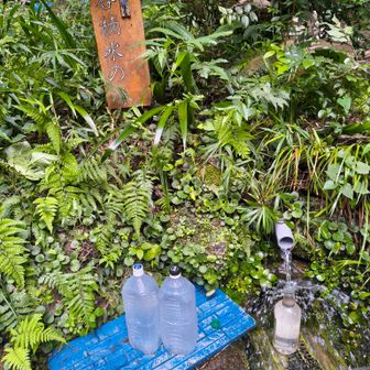 楠公水、福井県の瓜破の名水も美味い。楠公水も美味い。