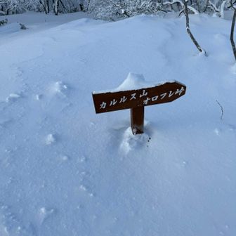今年は雪少ないらしい