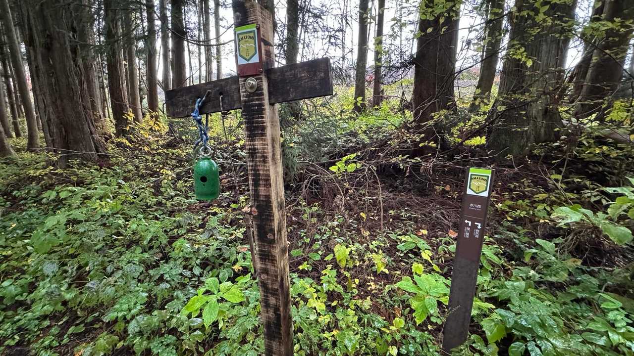 あまとみトレイル#2（戸隠キャンプ場〜苗名の滝〜野尻湖〜斑尾山※迂回区間有）、完走？ の写真 99