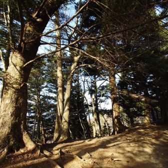 樅ノ木の休憩場所