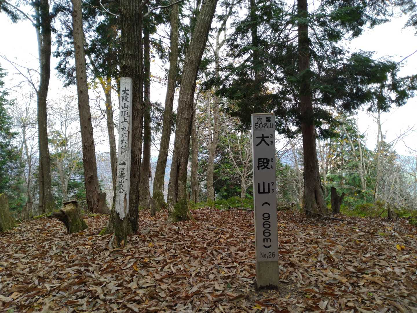 大段山　山頂　展望無し