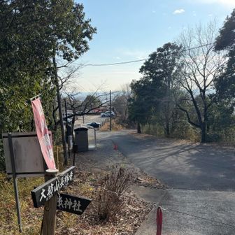 去年も歩いてるのに、大坊山からの下りが思ったより長かったです😅