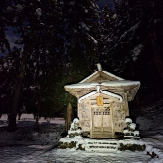 月明かりで空が明るい鳥坂神社