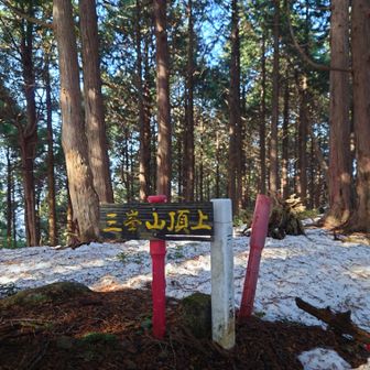 グレーピークの三峯山
今回は立ち寄りましたが木々の中