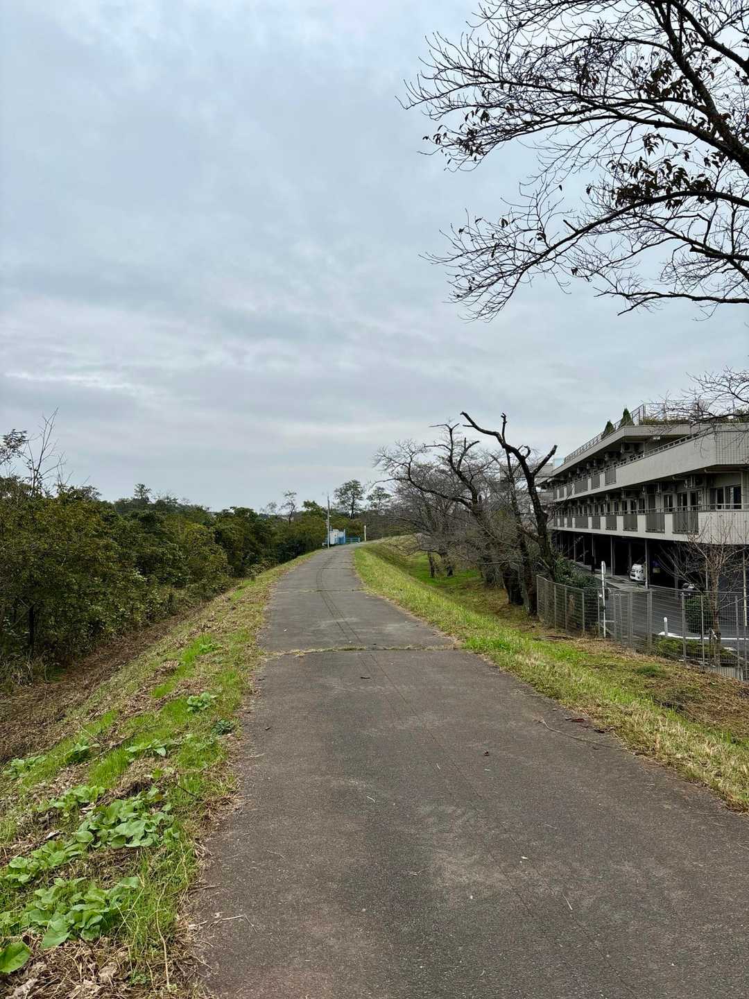 下山後は多摩川沿いを歩きます
