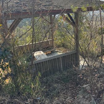 この東屋で休憩&ひっつき虫除去作業😩