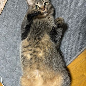 うぶらぶ❁.｡.:*:.｡.✽.｡.:*:.｡.❁.｡.:*:.｡.✽.｡