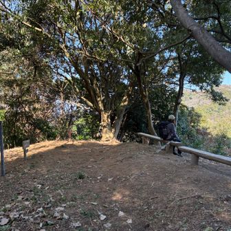 ランチタイム🍙