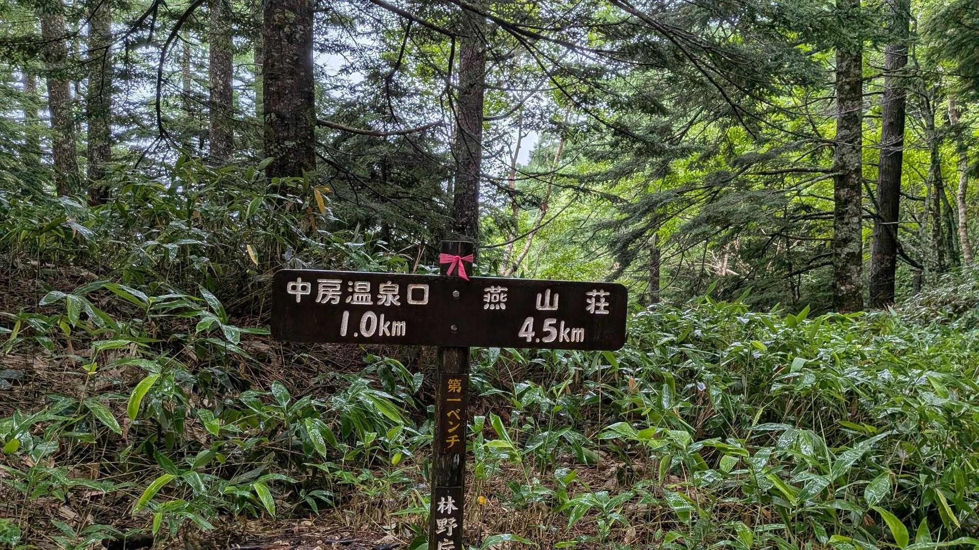 第1ベンチ。
上がってくる人も昨日ほどいません。
お昼からまた荒れ模様になる予報。