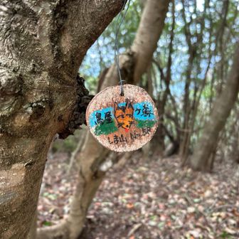 こういうかわいいのもやはり嬉しい。