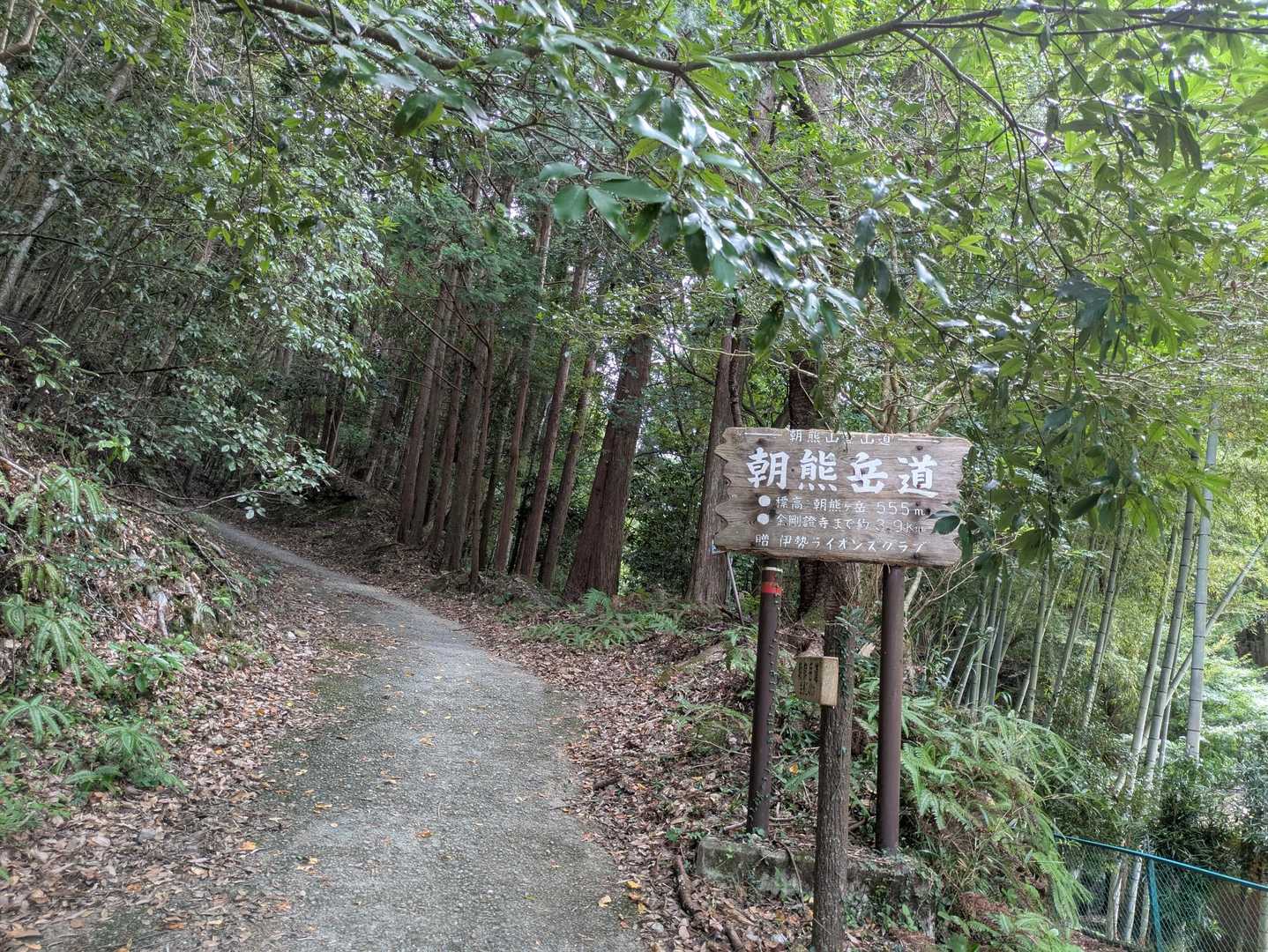 ここからスタートです🚶