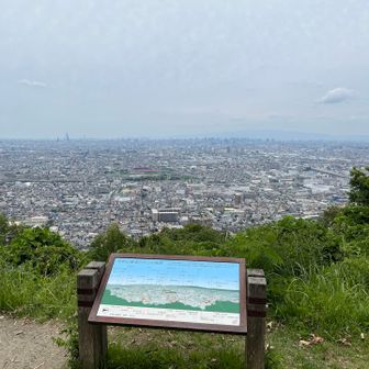 最高