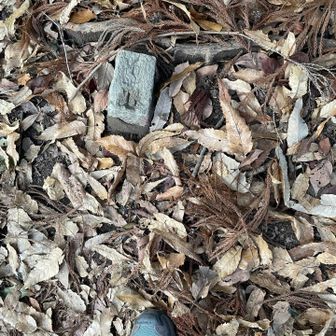 城山？？？って書いてる？書いてない？