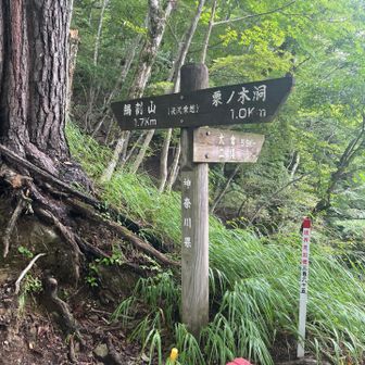 後沢乗越到着‼️
ここからピーク迄急登の始まりです。