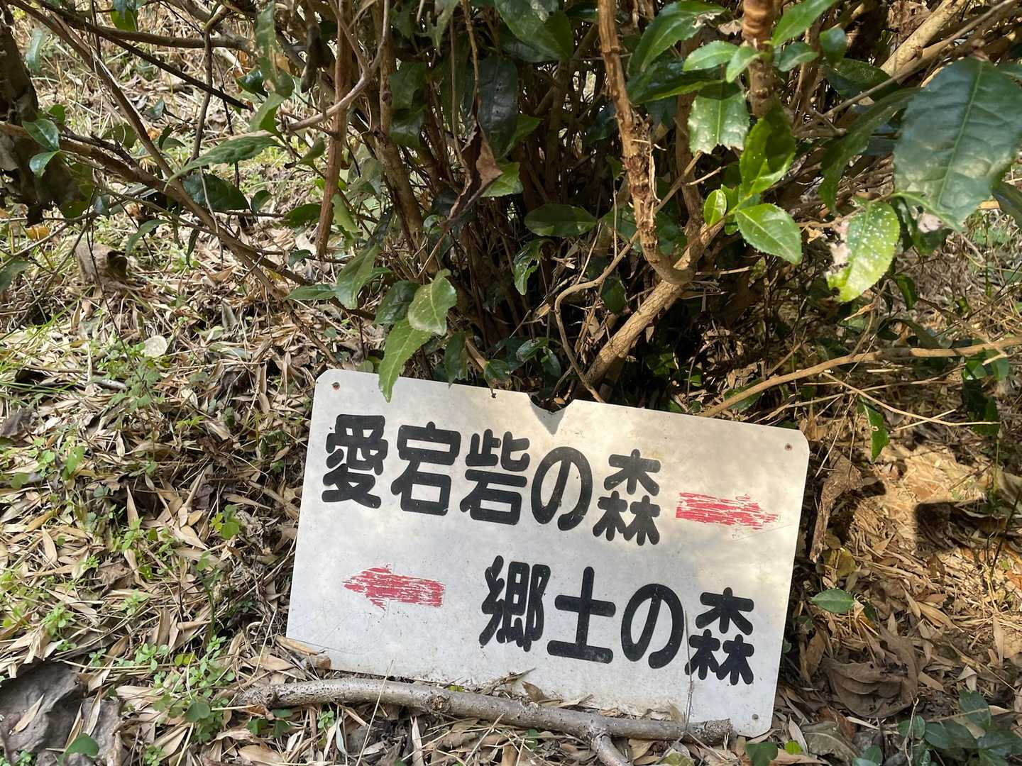 郷土の森を進み