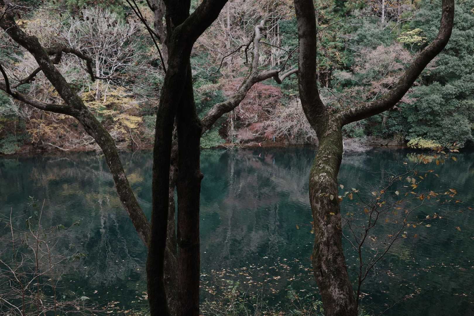 【フラット登山】大多摩ウォーキングトレイル　渓谷美と焚き火を楽しむの写真