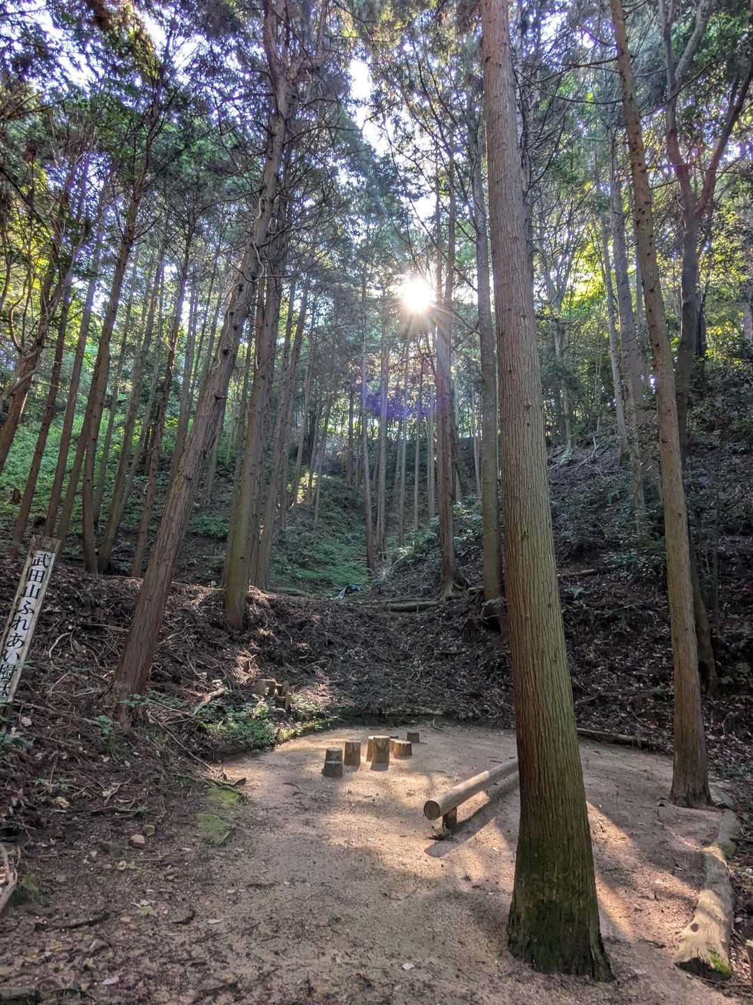 既に暑い…