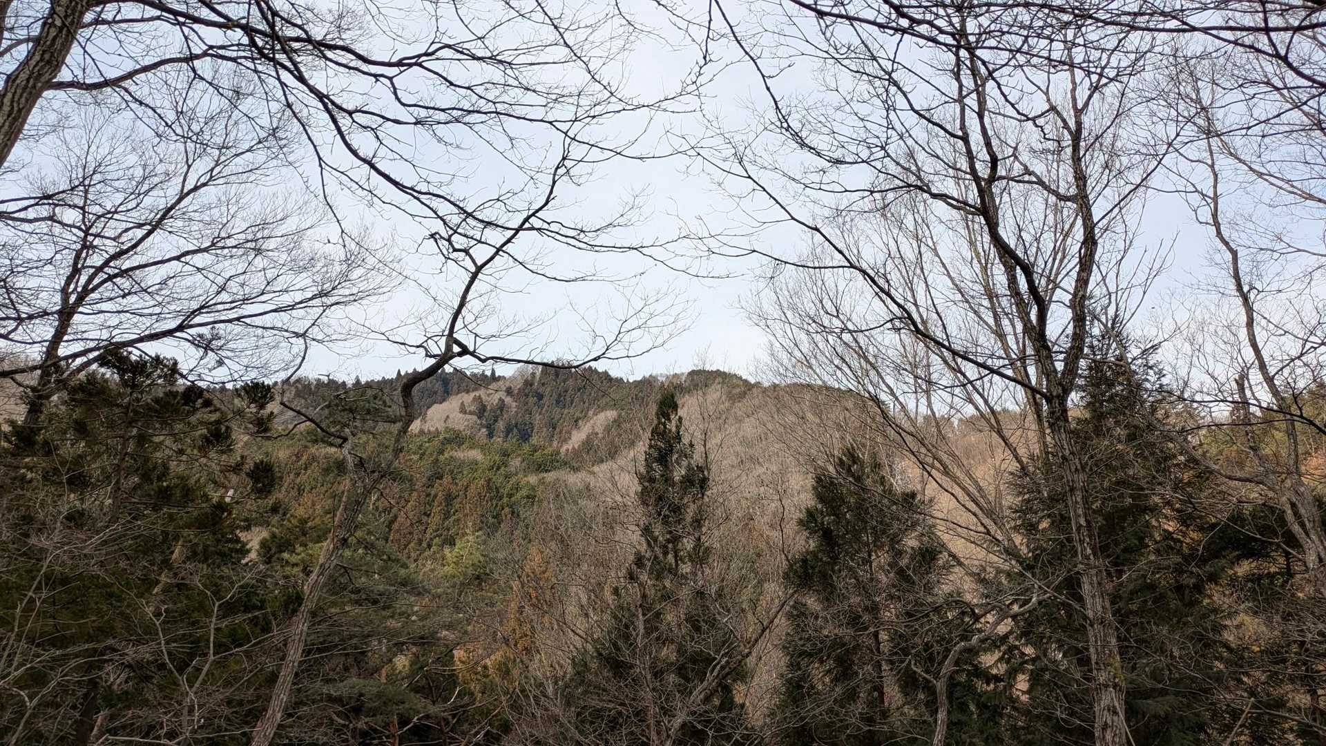 関山 周回コースの写真