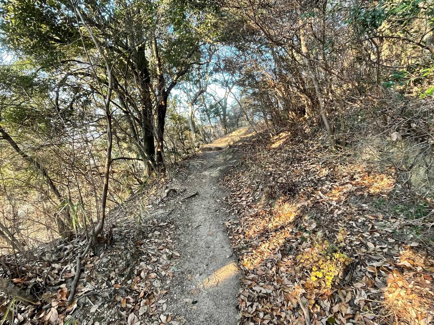 いゃー、階段じゃなくて良かった😆　城山までは緩やかな登りが続いていきます🎶
