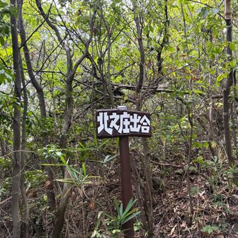 道中何がすごいって蜘蛛の巣🕸️よりも蝉‼︎何度かタックルされたしイヤな水も飛んできてた💧