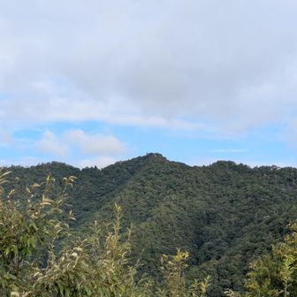 城見える