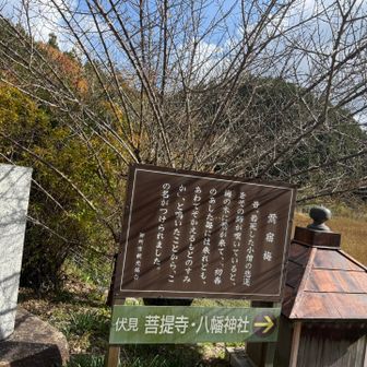 いつもと違う山の景色が見えて良かったです😊
滝の横で見た、梯子が気になる山行でした😙