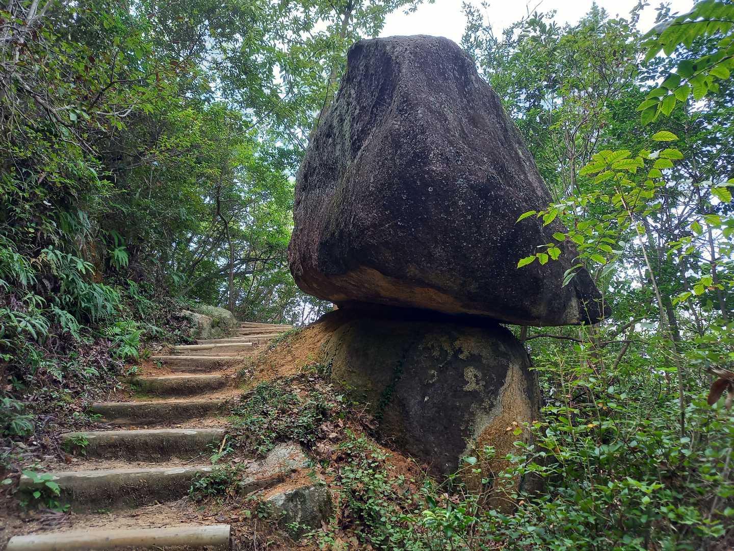 浅原峠 周回コースの写真