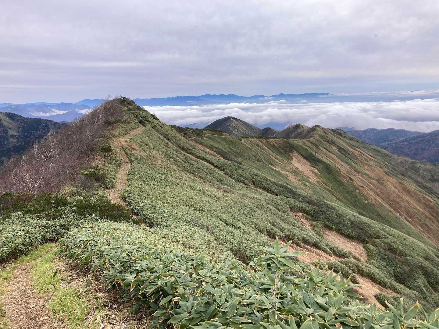 地蔵峠-地蔵山-堂岩山-猟師の頭-白砂山 往復コースの写真