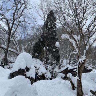写真では伝わらない、急すぎて私の雪ブーツではもう登れない。。ここまで来たのに残念でなりませんが、雪のない季節にまたいつか。
