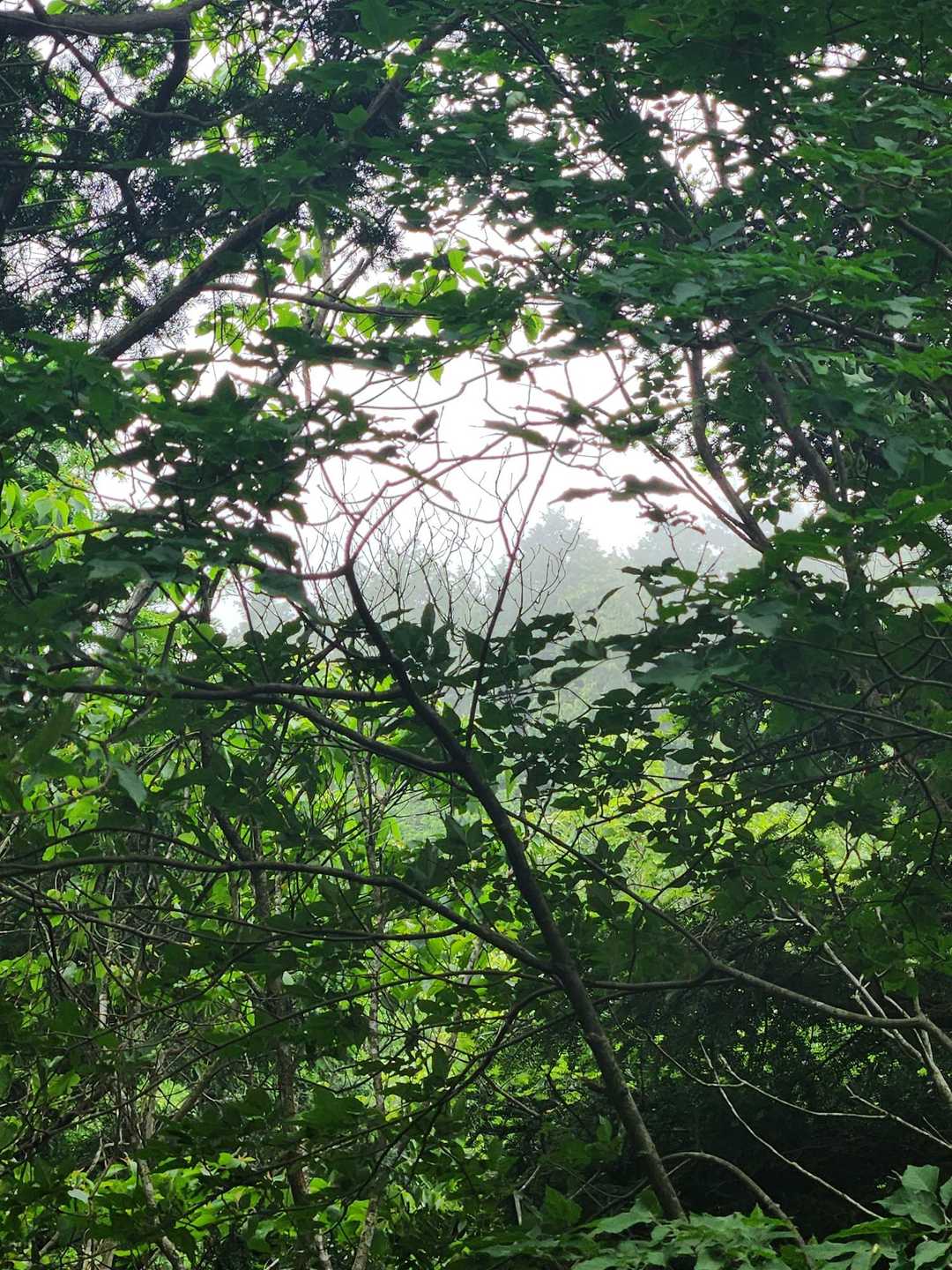 雲が動く様子が見える👀