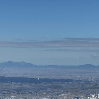 お弥彦様は年内にもう一度⛩️