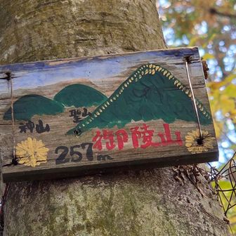 鏡山は御陵山とも言うのかな？