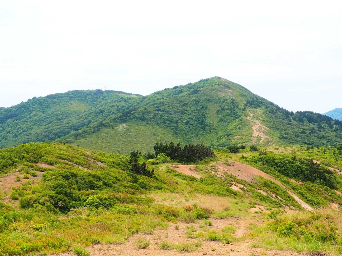 尻立山-論天山-芝尻山 往復コースの写真