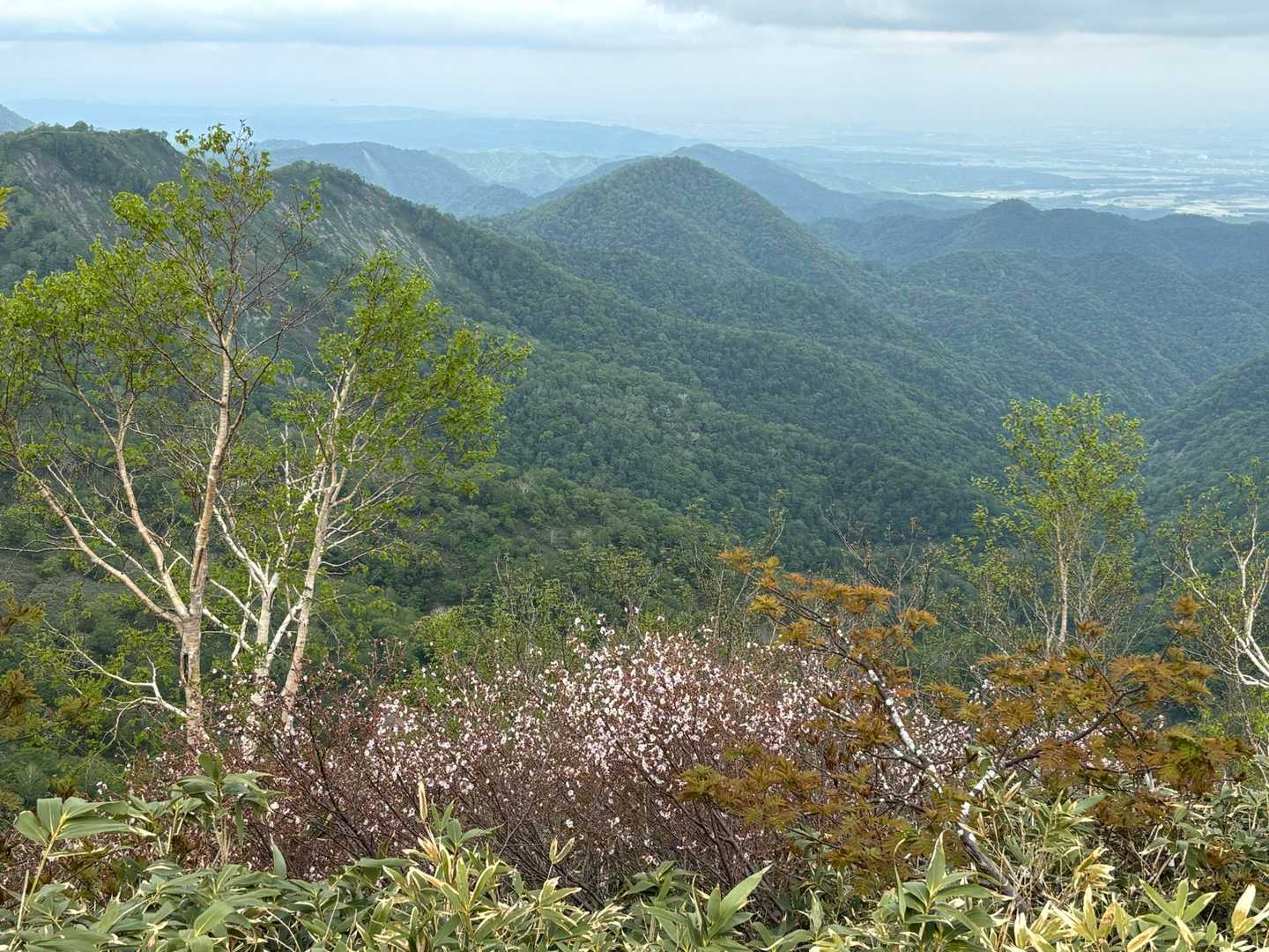 浦臼山-樺戸山-隈根尻山 往復コースの写真
