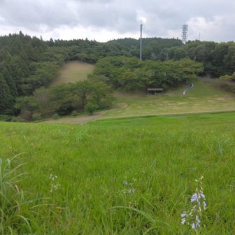 本日はキャンプ場も無人