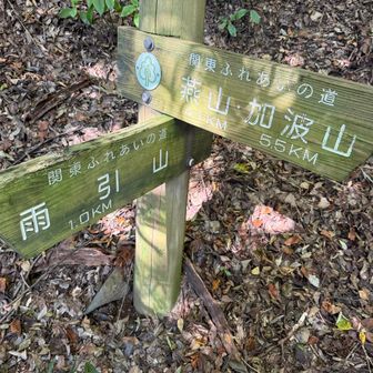 あと1km