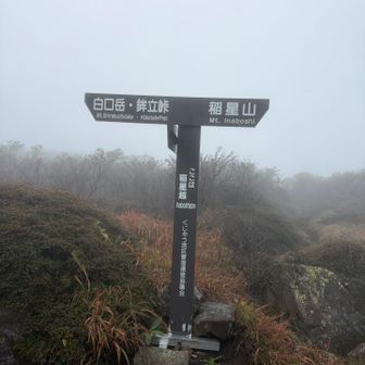 稲星へ