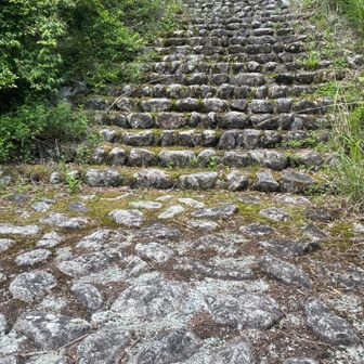 少し下流に行くと階段があります
すぐキャンプ場です