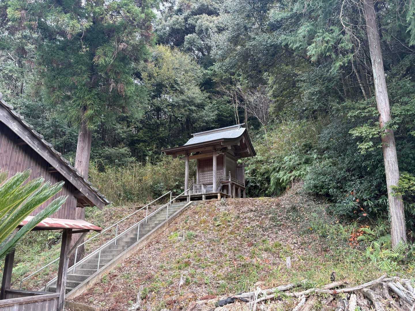 御所ヶ岳登山口-御所ヶ岳-馬ヶ岳-大谷登山口 縦走コースの写真