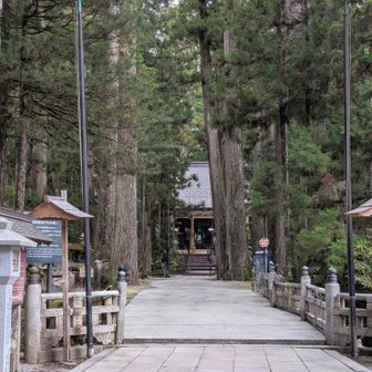 奥の院 御霊廟
外人や観光客がわんさかいたので
全員加工で消えて頂きました^^
Part2