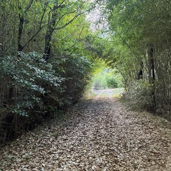車販売店のすく手前に登山口。

まちがえた我らに、
販売店の方がわざわざ出て来て、「山はあっち」と教えて下さった❣️