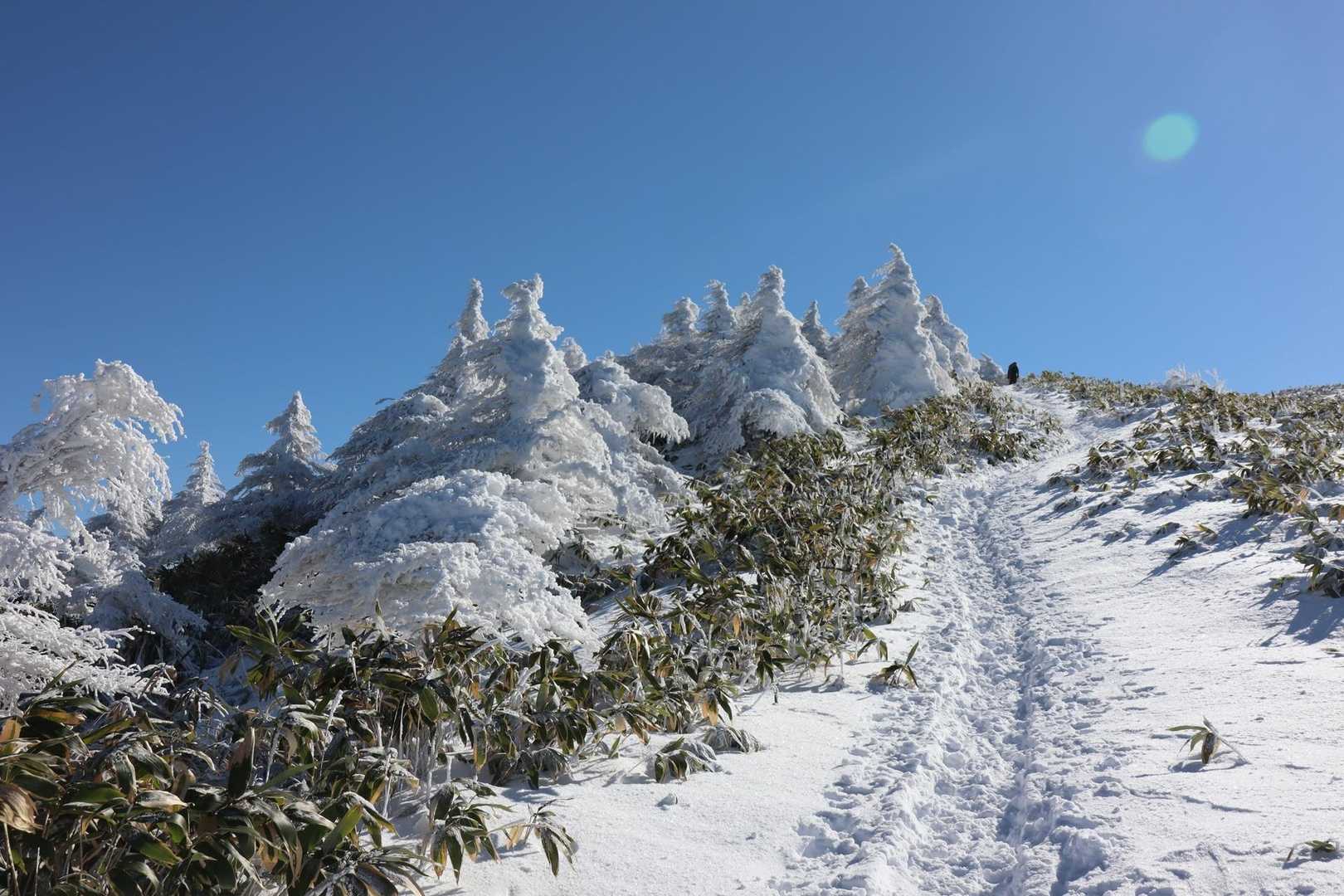 横川山の登りも良きです