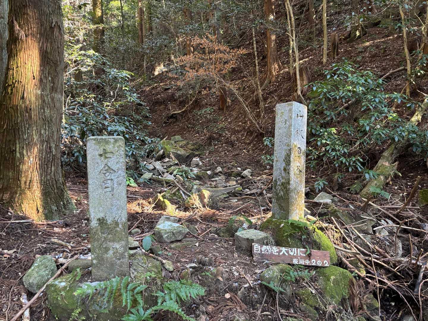 加波山 周回コースの写真