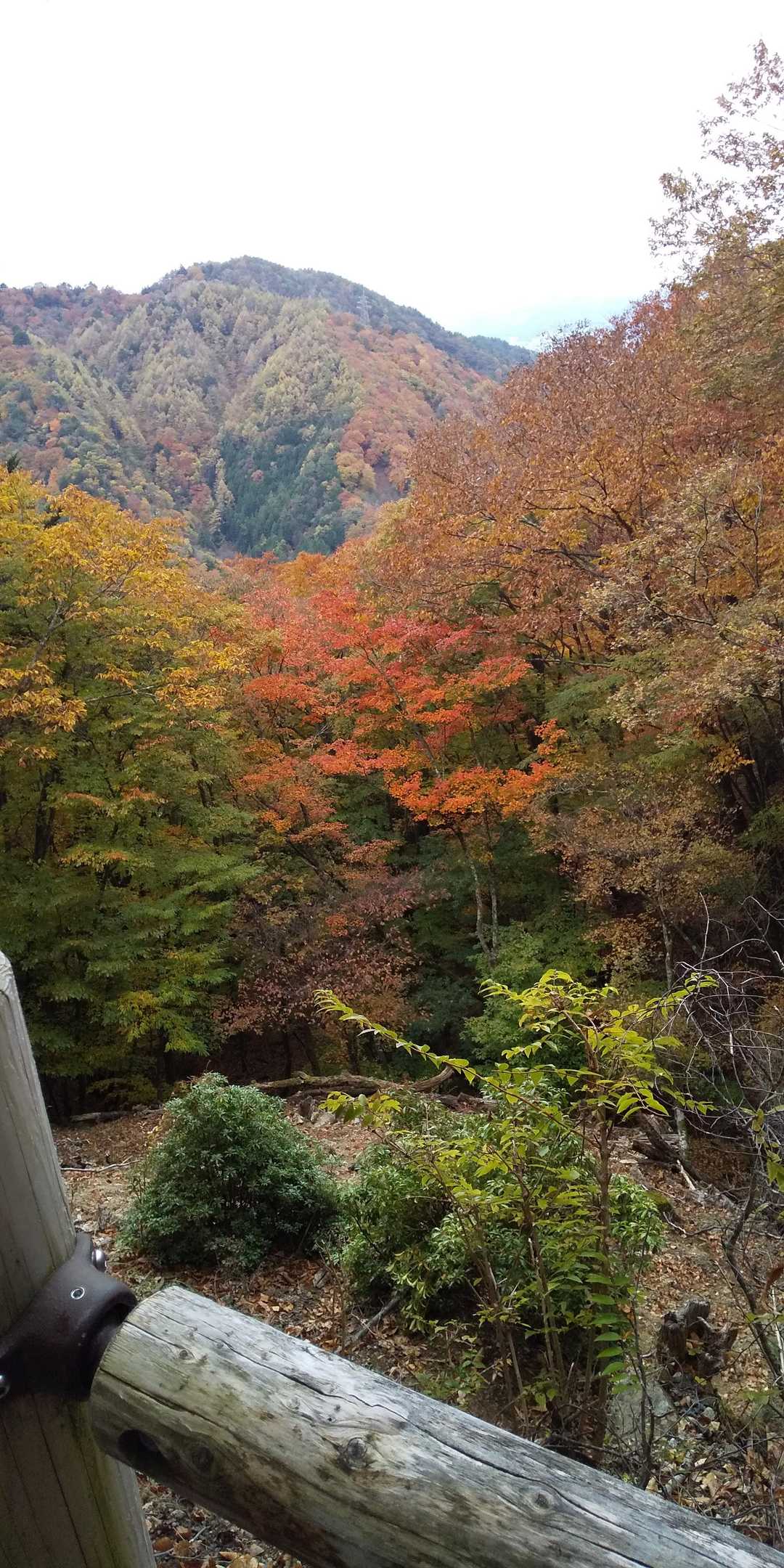 御坂山登山口-御坂峠-カネ山-御坂山-観音平山-旧御坂峠- 縦走コースの写真