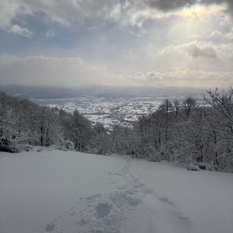 日が当たってきました。